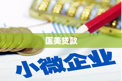 大城医美贷款