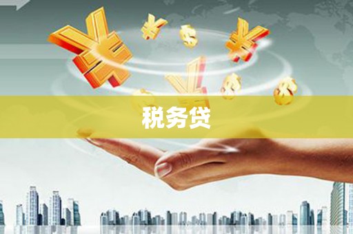 大城税务贷