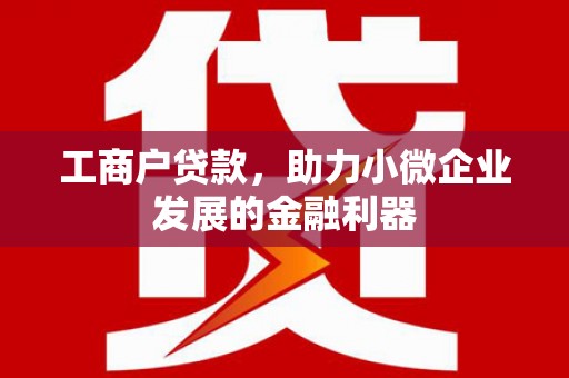 大城工商户贷款，助力小微企业发展的金融利器