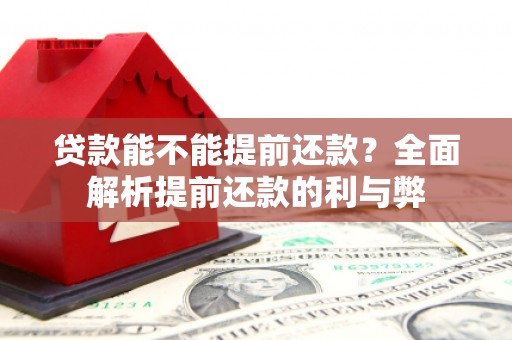 大城贷款能不能提前还款？全面解析提前还款的利与弊