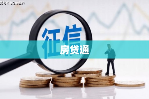 大城房贷通