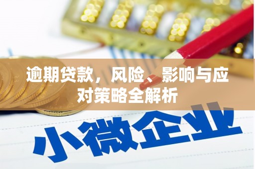 大城逾期贷款，风险、影响与应对策略全解析