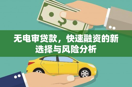 大城无电审贷款，快速融资的新选择与风险分析