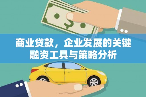 大城商业贷款，企业发展的关键融资工具与策略分析