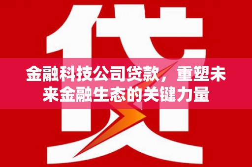 大城金融科技公司贷款，重塑未来金融生态的关键力量