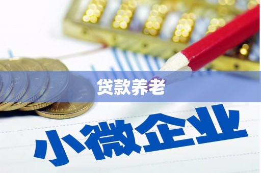 大城贷款养老