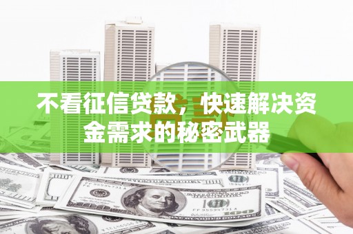 大城不看征信贷款，快速解决资金需求的秘密武器