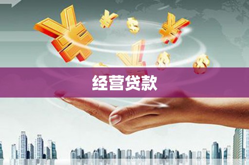大城经营贷款