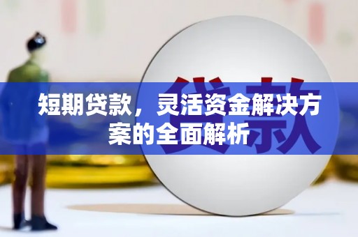 大城短期贷款，灵活资金解决方案的全面解析