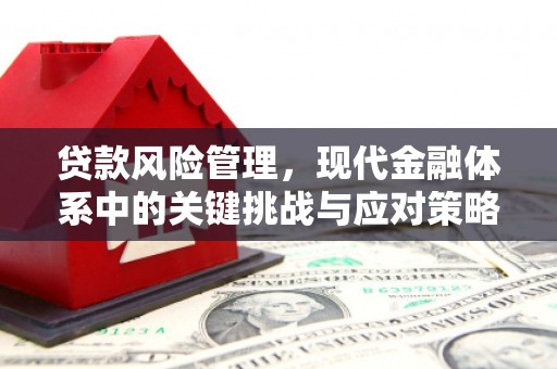 大城贷款风险管理，现代金融体系中的关键挑战与应对策略