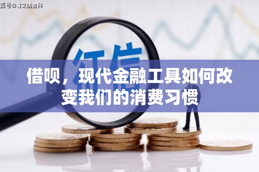 大城借呗，现代金融工具如何改变我们的消费习惯