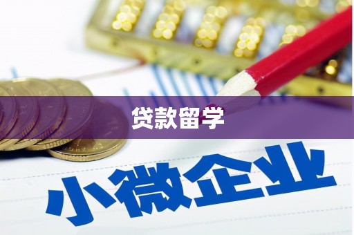 大城贷款留学