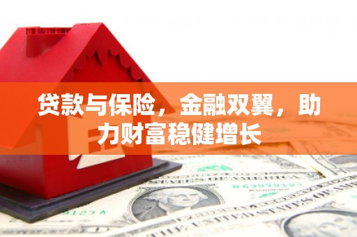 大城贷款与保险，金融双翼，助力财富稳健增长