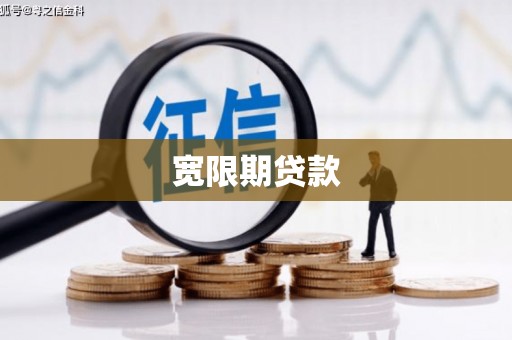 大城宽限期贷款