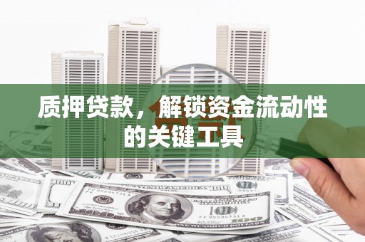 大城质押贷款，解锁资金流动性的关键工具