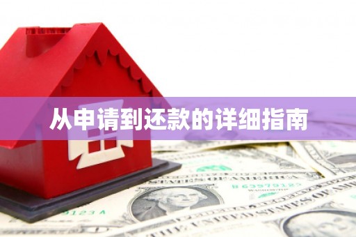 大城从申请到还款的详细指南