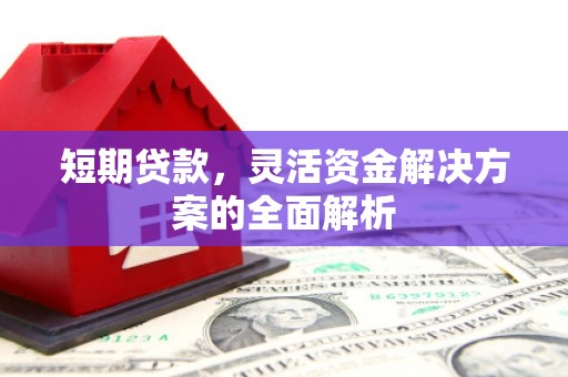 大城短期贷款，灵活资金解决方案的全面解析