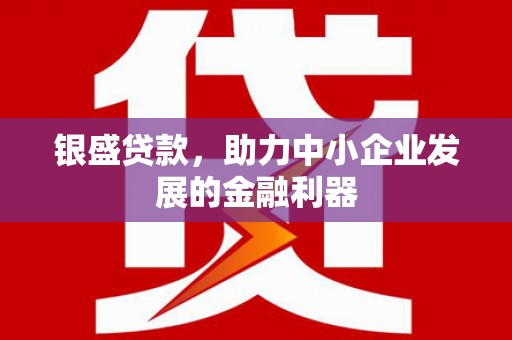 大城银盛贷款，助力中小企业发展的金融利器