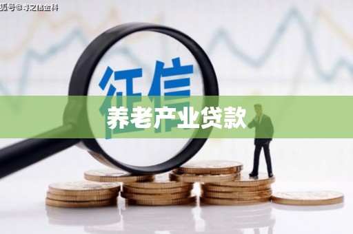 大城养老产业贷款