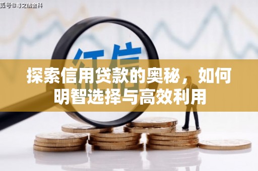 大城探索信用贷款的奥秘，如何明智选择与高效利用