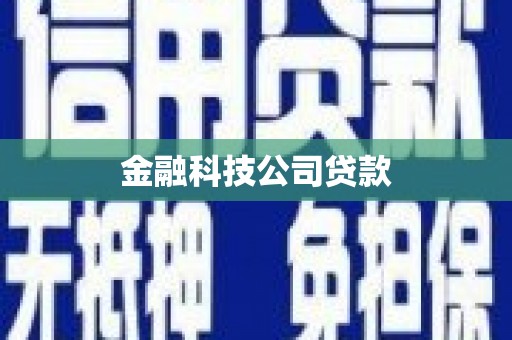 大城金融科技公司贷款