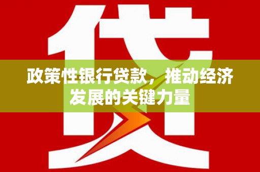 大城政策性银行贷款，推动经济发展的关键力量