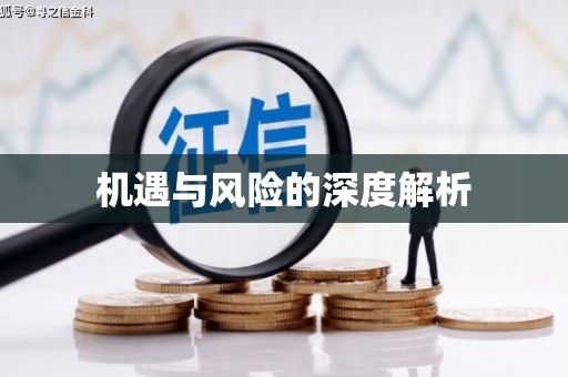 大城机遇与风险的深度解析