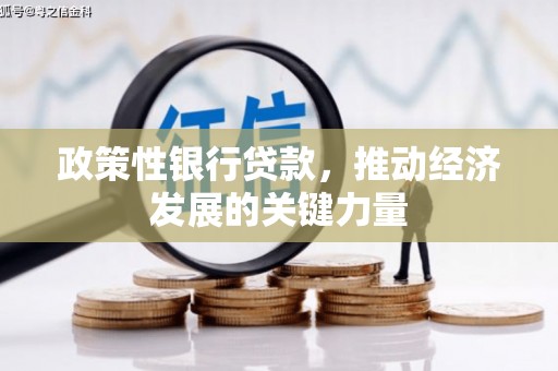 大城政策性银行贷款，推动经济发展的关键力量