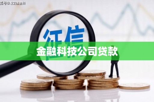 大城金融科技公司贷款