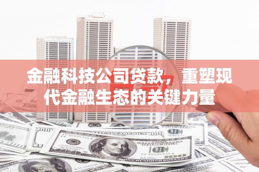 大城金融科技公司贷款，重塑现代金融生态的关键力量
