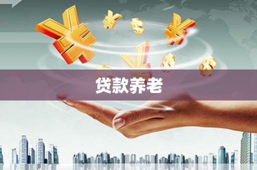 大城贷款养老