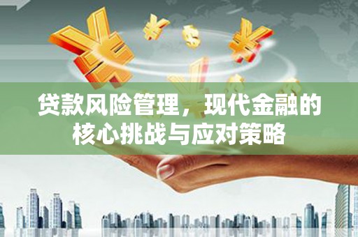 大城贷款风险管理，现代金融的核心挑战与应对策略