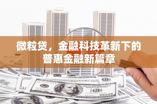 大城微粒贷，金融科技革新下的普惠金融新篇章