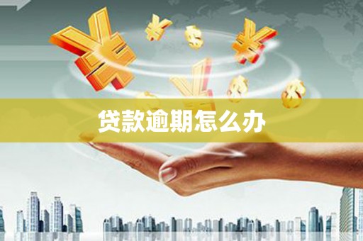 大城贷款逾期怎么办