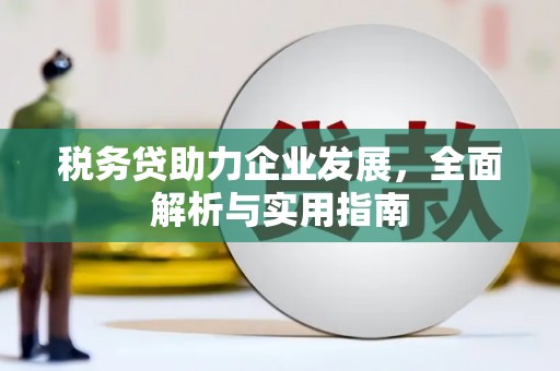 大城税务贷助力企业发展，全面解析与实用指南