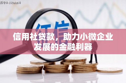 大城信用社贷款，助力小微企业发展的金融利器