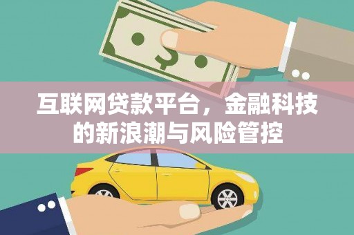 大城互联网贷款平台，金融科技的新浪潮与风险管控