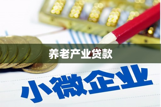 大城养老产业贷款