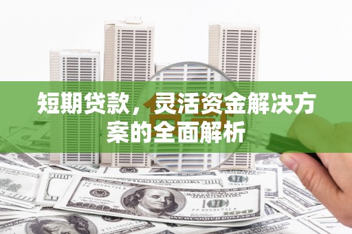 大城短期贷款，灵活资金解决方案的全面解析