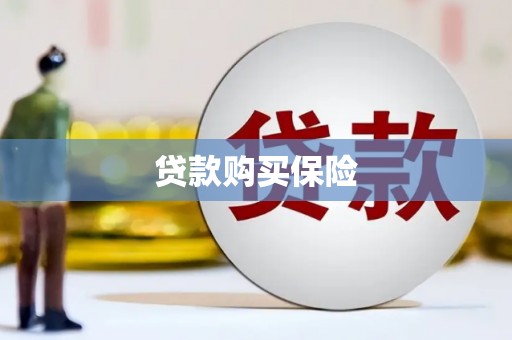 大城贷款购买保险