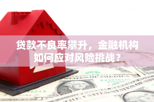 大城贷款不良率攀升，金融机构如何应对风险挑战？