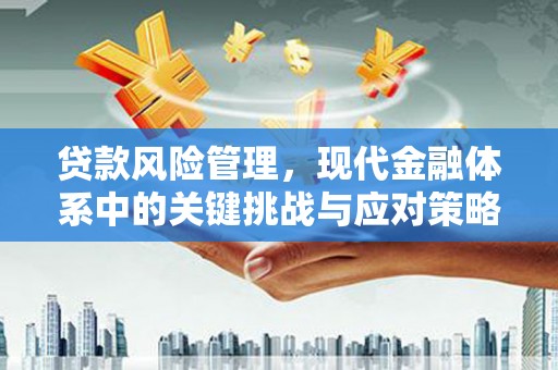 大城贷款风险管理，现代金融体系中的关键挑战与应对策略