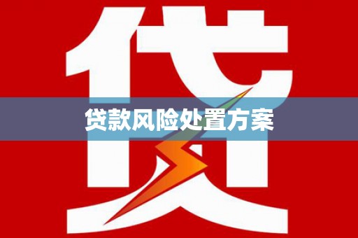 大城贷款风险处置方案