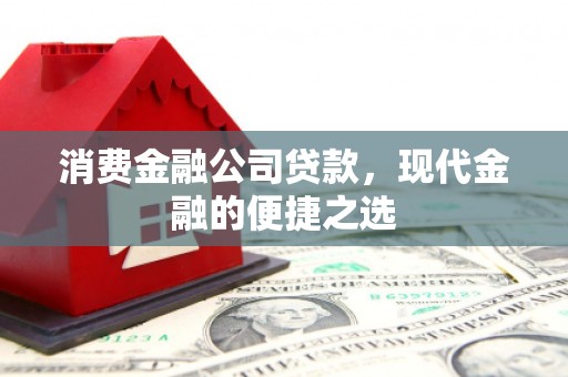 大城消费金融公司贷款，现代金融的便捷之选
