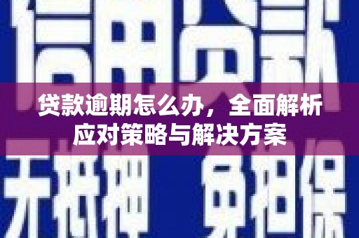 大城贷款逾期怎么办，全面解析应对策略与解决方案