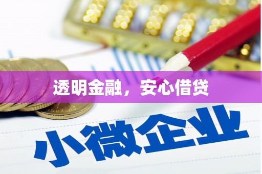 大城透明金融，安心借贷