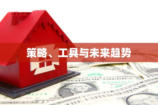 大城策略、工具与未来趋势