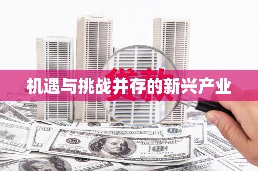 大城机遇与挑战并存的新兴产业