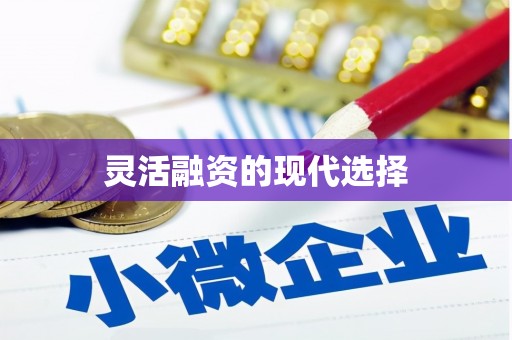 大城灵活融资的现代选择