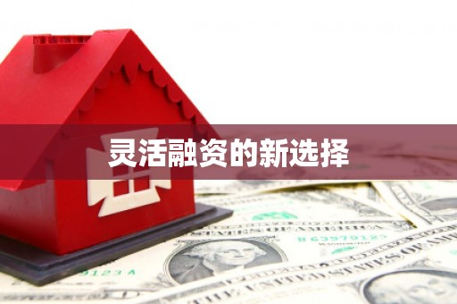 大城灵活融资的新选择